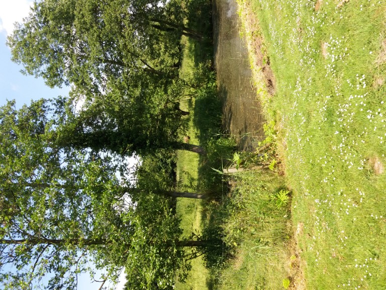 Archiefnummer: 16556