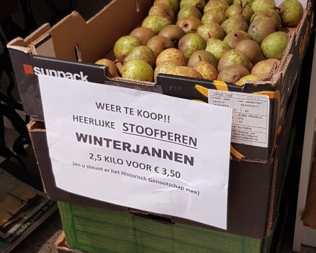 Winterjannen te koop!