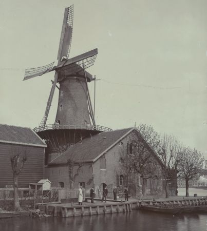 Molens in de Zwijndrechtse Waard